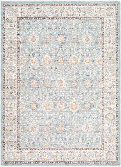 Amir AMR-2304 Blue Area Rug