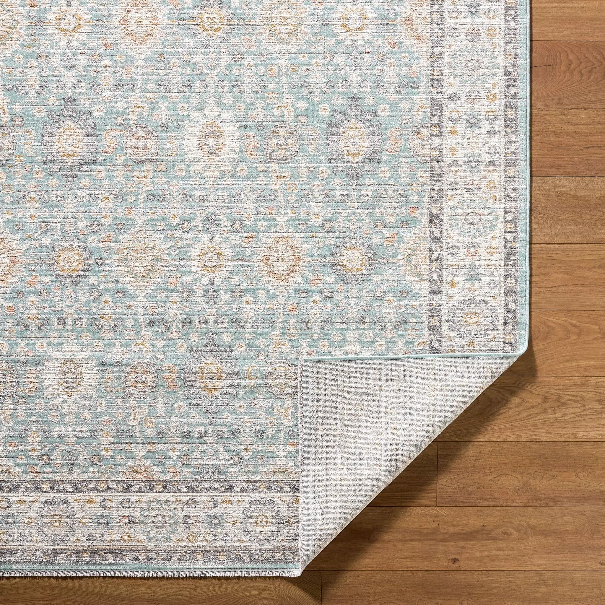 Amir AMR-2304 Blue Area Rug by LIVABLISS