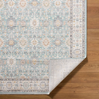 Amir AMR-2304 Blue Area Rug