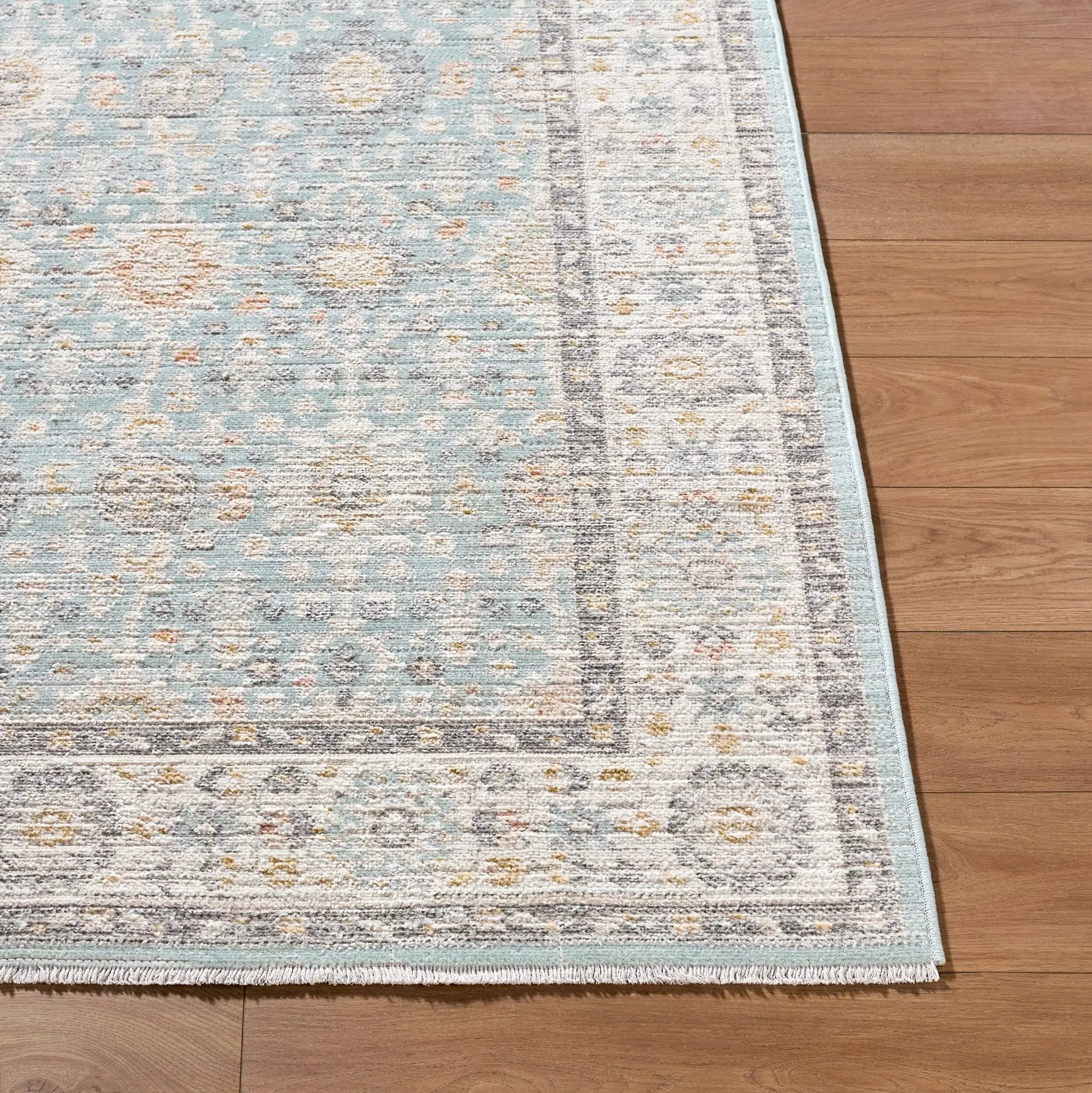 Amir AMR-2304 Blue Area Rug by LIVABLISS