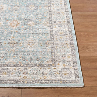 Amir AMR-2304 Blue Area Rug