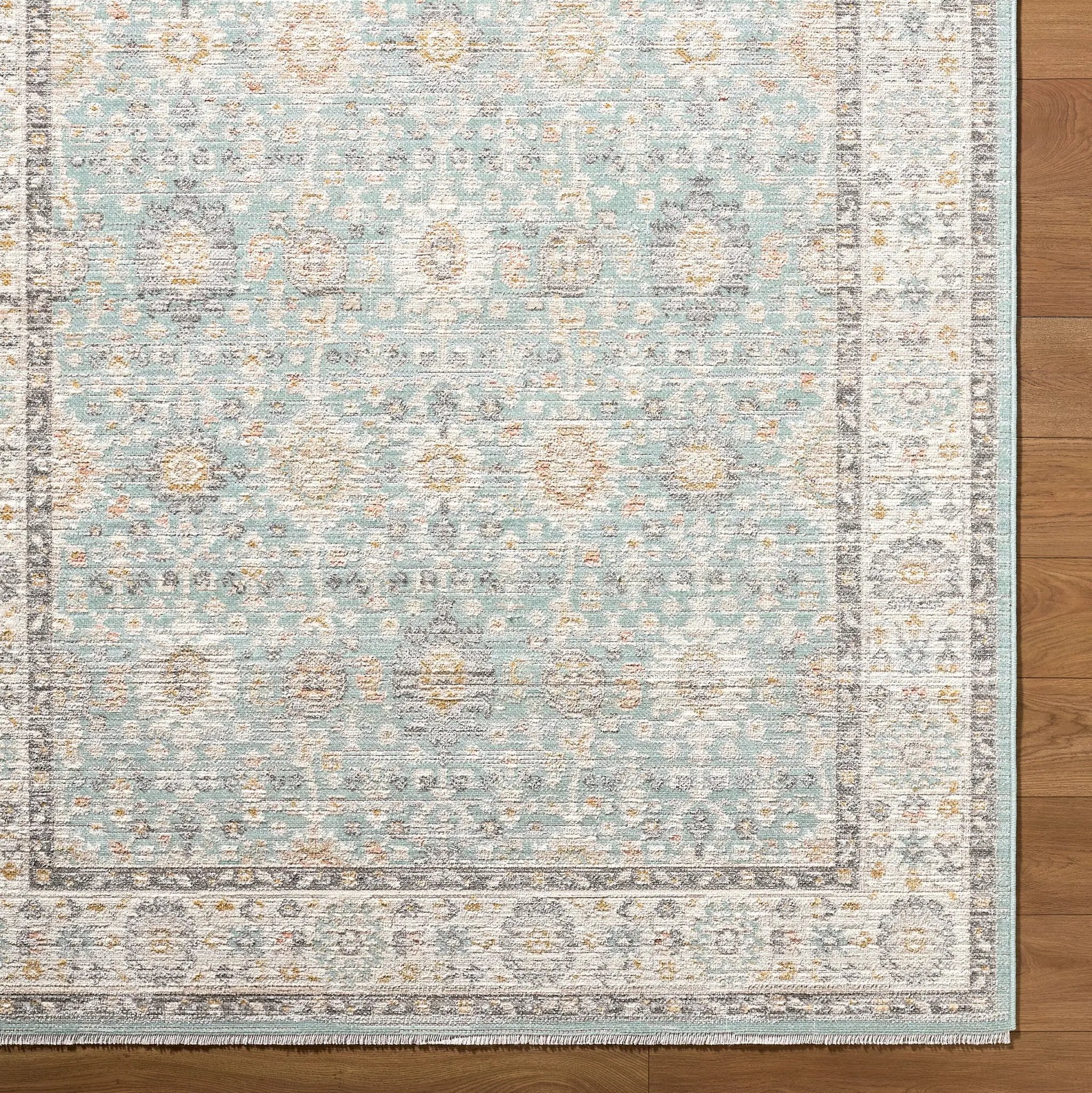 Amir AMR-2304 Blue Area Rug by LIVABLISS
