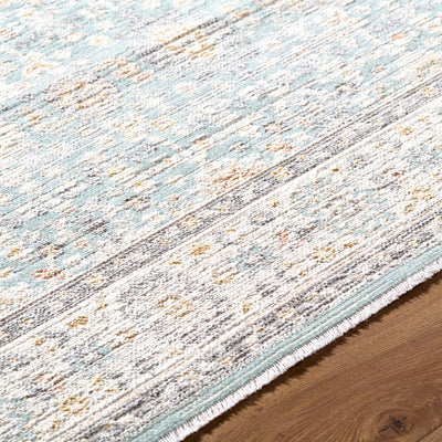 Amir AMR-2304 Blue Area Rug