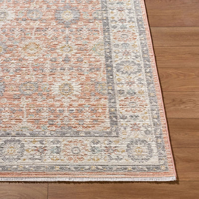 Amir AMR-2305 Rose Area Rug by LIVABLISS