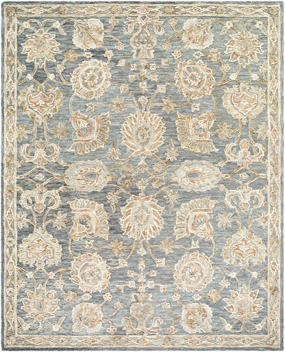 Livabliss Arnold AOD-2300 Slate Gray Area Rug by LIVABLISS