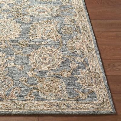 Livabliss Arnold AOD-2300 Slate Gray Area Rug by LIVABLISS