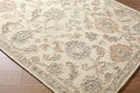 Livabliss Arnold AOD-2301 Ivory Area Rug by LIVABLISS