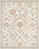 Surya Arnold AOD-2301 Ivory Area Rug by LIVABLISS