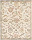 Livabliss Arnold AOD-2301 Ivory Area Rug by LIVABLISS