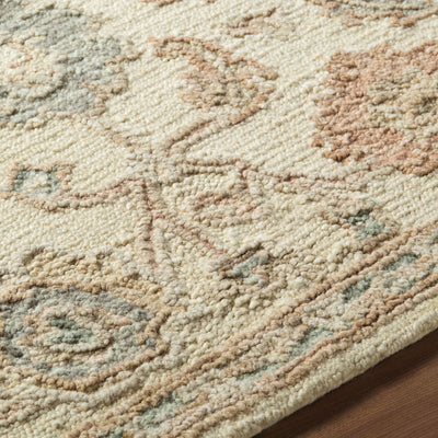 Livabliss Arnold AOD-2301 Ivory Area Rug by LIVABLISS