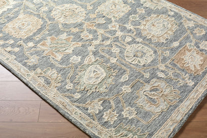 Livabliss Arnold AOD-2302 Slate Gray Area Rug by LIVABLISS