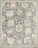 Livabliss Arnold AOD-2302 Slate Gray Area Rug by LIVABLISS