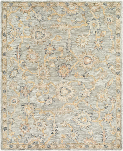 Livabliss Arnold AOD-2303 Pewter Area Rug by LIVABLISS