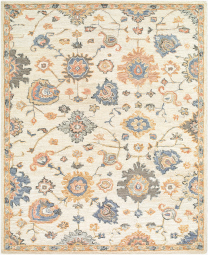 Livabliss Arnold AOD-2304 Ivory Area Rug by LIVABLISS