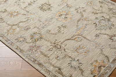 Livabliss Arnold AOD-2305 Ivory Area Rug by LIVABLISS