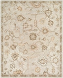 Livabliss Arnold AOD-2305 Ivory Area Rug by LIVABLISS