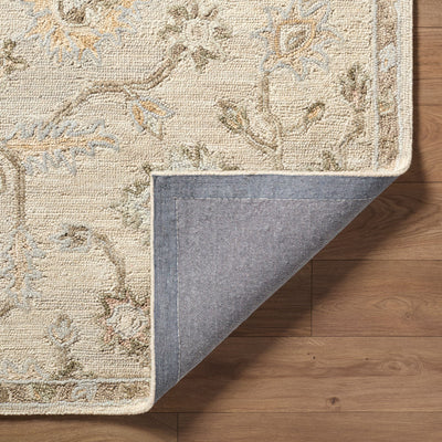 Livabliss Arnold AOD-2305 Ivory Area Rug by LIVABLISS