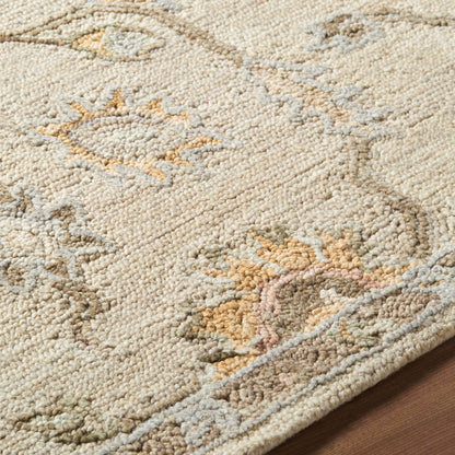 Livabliss Arnold AOD-2305 Ivory Area Rug by LIVABLISS