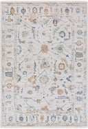 Surya Alston AON-2301 Ivory Machine Washable Area Rug by LIVABLISS