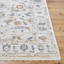 Surya Alston AON-2301 Ivory Machine Washable Area Rug by LIVABLISS