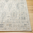 Surya Alpharetta APH-2302 Cream Area Rug by LIVABLISS