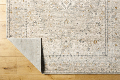 Surya Alpharetta APH-2303 Light Beige Area Rug by LIVABLISS