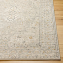 Surya Alpharetta APH-2303 Light Beige Area Rug by LIVABLISS