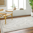 Surya Alpharetta APH-2306 Cream Area Rug by LIVABLISS