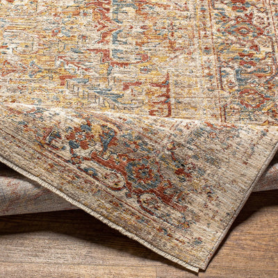 Aspendos APS-2318 Light-Gray Area Rug by LIVABLISS