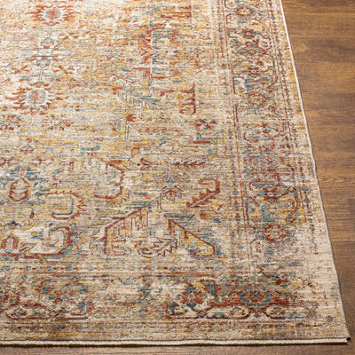 Aspendos APS-2318 Light-Gray Area Rug by LIVABLISS