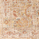 Surya Aspendos APS-2318 Light Gray Area Rug by LIVABLISS