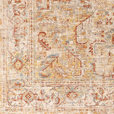 Aspendos APS-2318 Light-Gray Area Rug by LIVABLISS