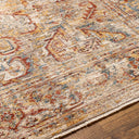 Surya Aspendos APS-2318 Light Gray Area Rug by LIVABLISS