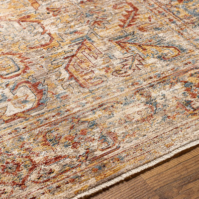 Aspendos APS-2318 Light-Gray Area Rug by LIVABLISS