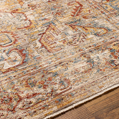 Surya Aspendos APS-2318 Light Gray Area Rug by LIVABLISS