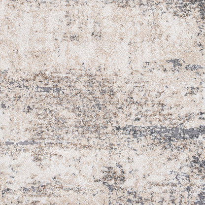 Andorra ARD-2300 Beige Area Rug