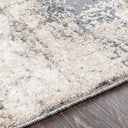Andorra ARD-2300 Beige Area Rug