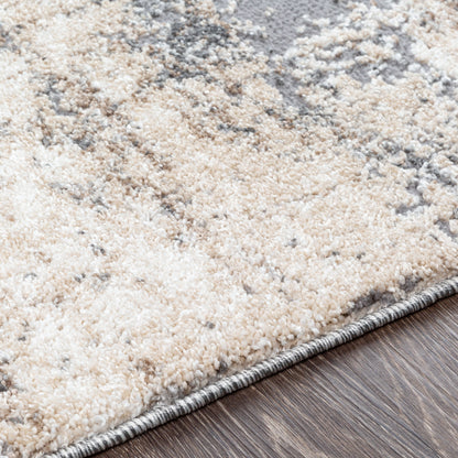 Andorra ARD-2300 Beige Area Rug