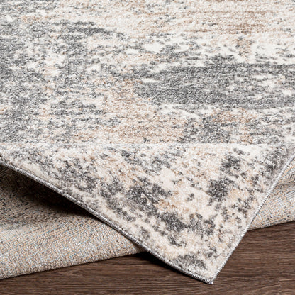 Surya Andorra ARD-2302 Charcoal Area Rug by LIVABLISS