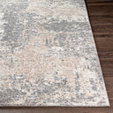 Surya Andorra ARD-2302 Charcoal Area Rug by LIVABLISS