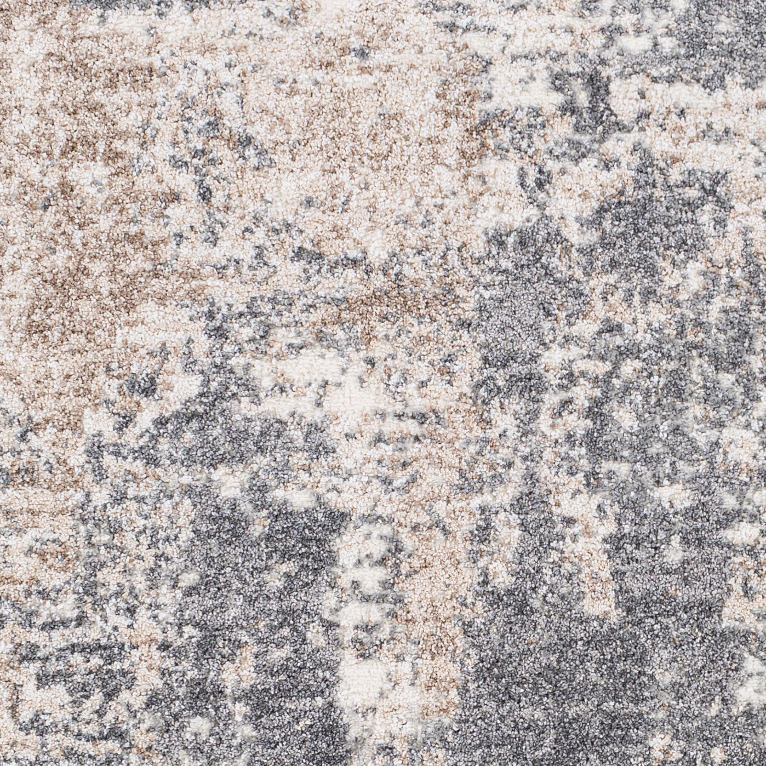 Surya Andorra ARD-2302 Charcoal Area Rug by LIVABLISS