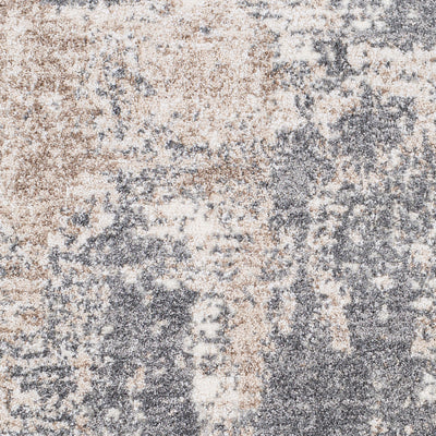 Surya Andorra ARD-2302 Charcoal Area Rug by LIVABLISS