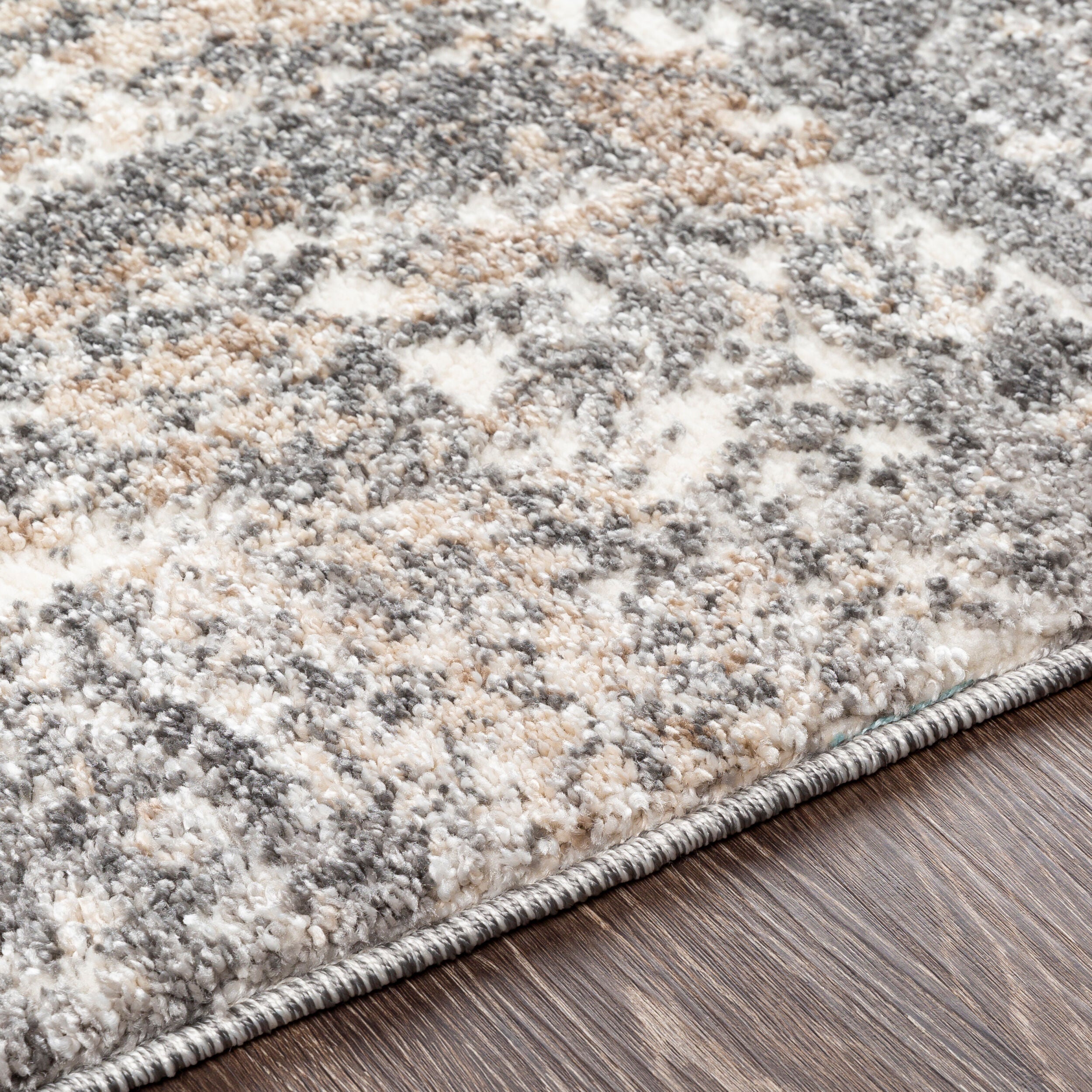 Surya Andorra ARD-2302 Charcoal Area Rug by LIVABLISS