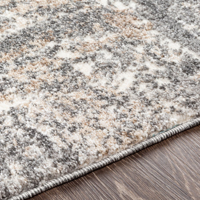 Surya Andorra ARD-2302 Charcoal Area Rug by LIVABLISS