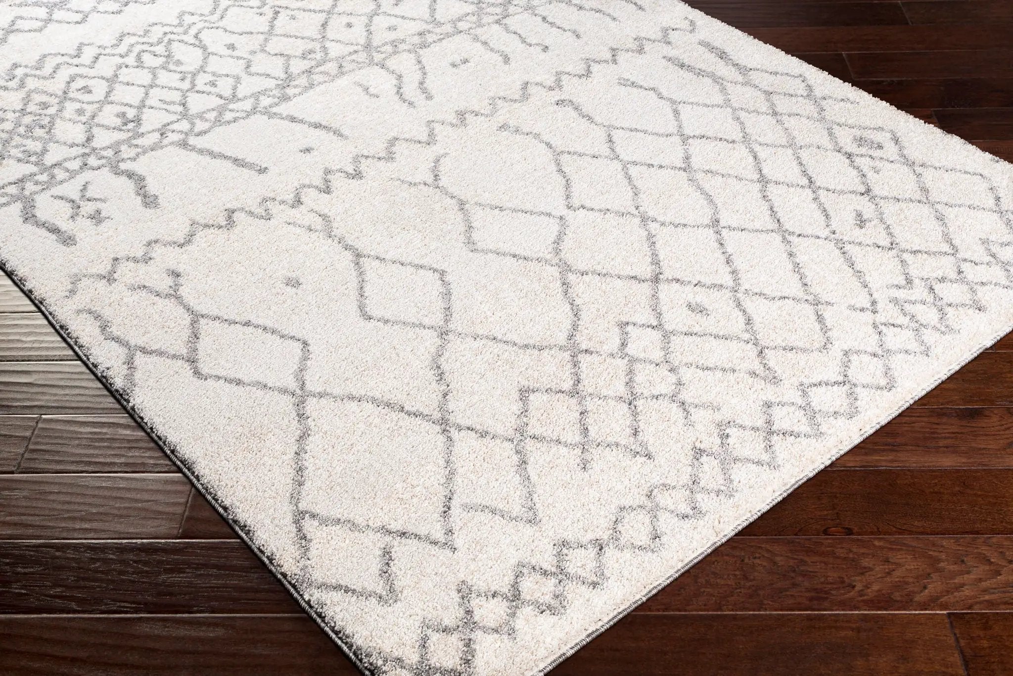 Andorra ARD-2303 Beige Area Rug by LIVABLISS