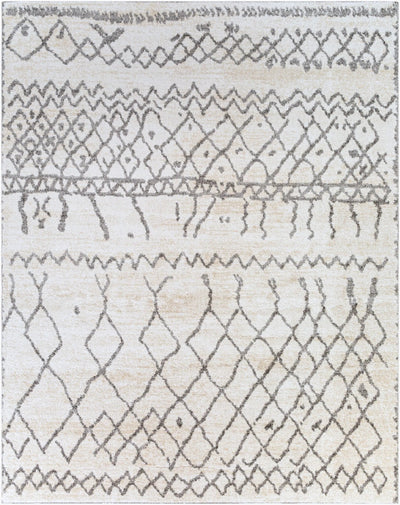 Andorra ARD-2303 Beige Area Rug by LIVABLISS