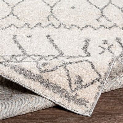 Andorra ARD-2303 Beige Area Rug by LIVABLISS