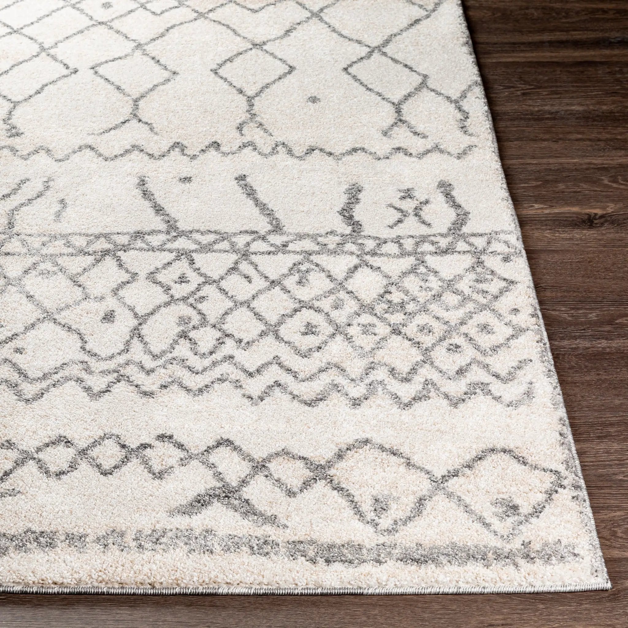 Andorra ARD-2303 Beige Area Rug by LIVABLISS