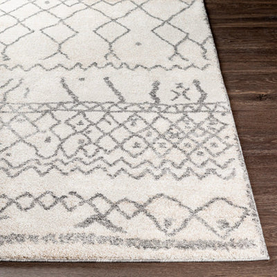 Andorra ARD-2303 Beige Area Rug by LIVABLISS