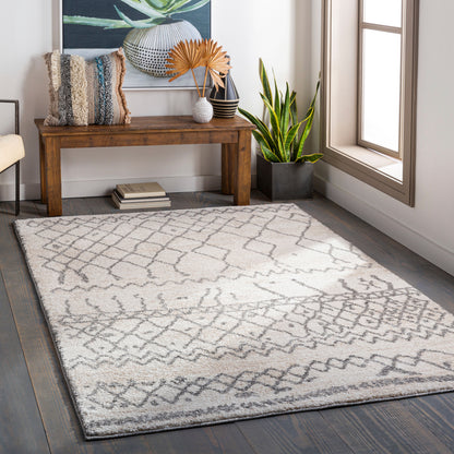 Andorra ARD-2303 Beige Area Rug